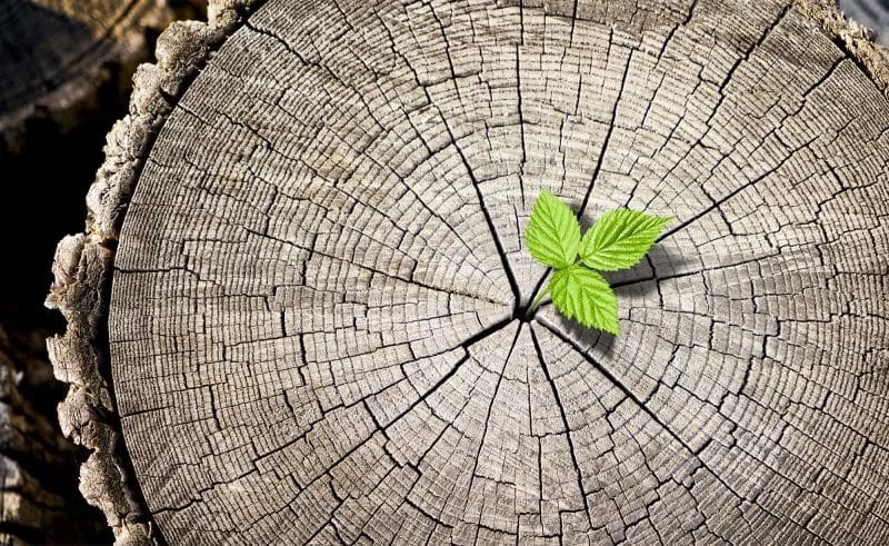 What are the emerging digital themes shaping 2024?