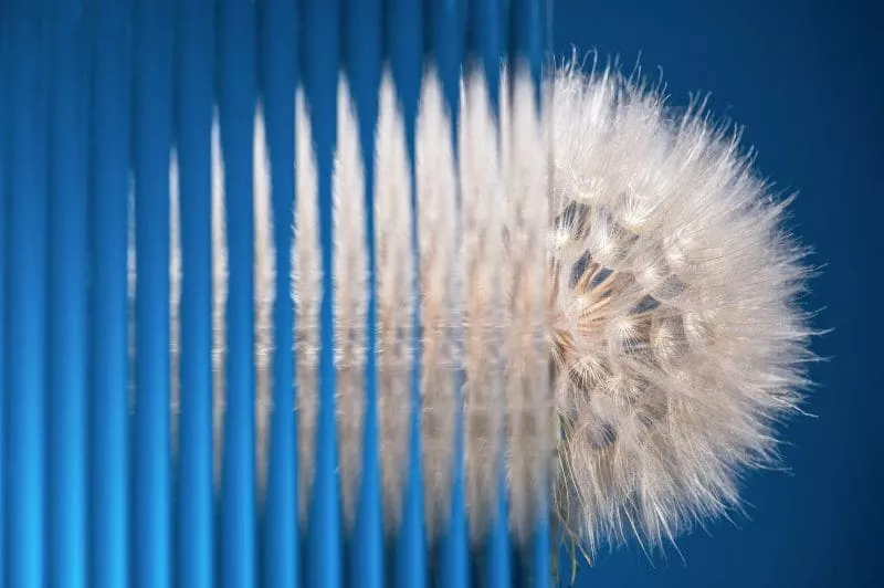 Radical clarity through the turbulence