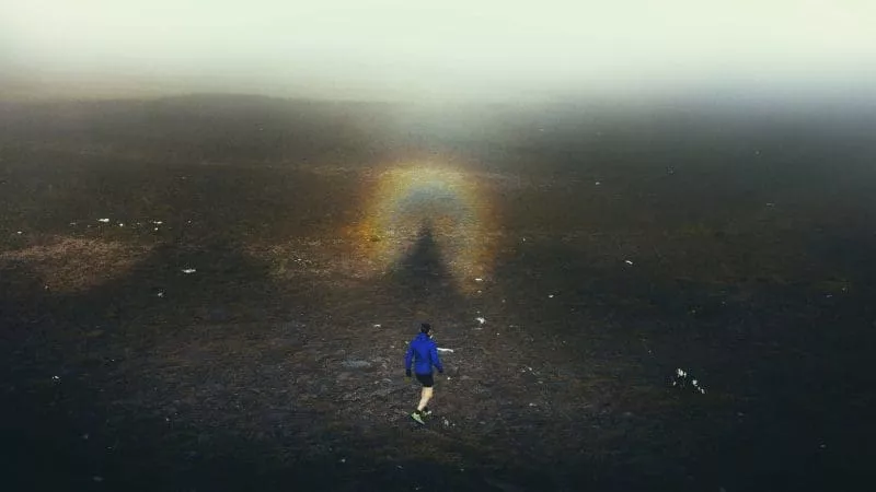 Bold innovators shaping the industry