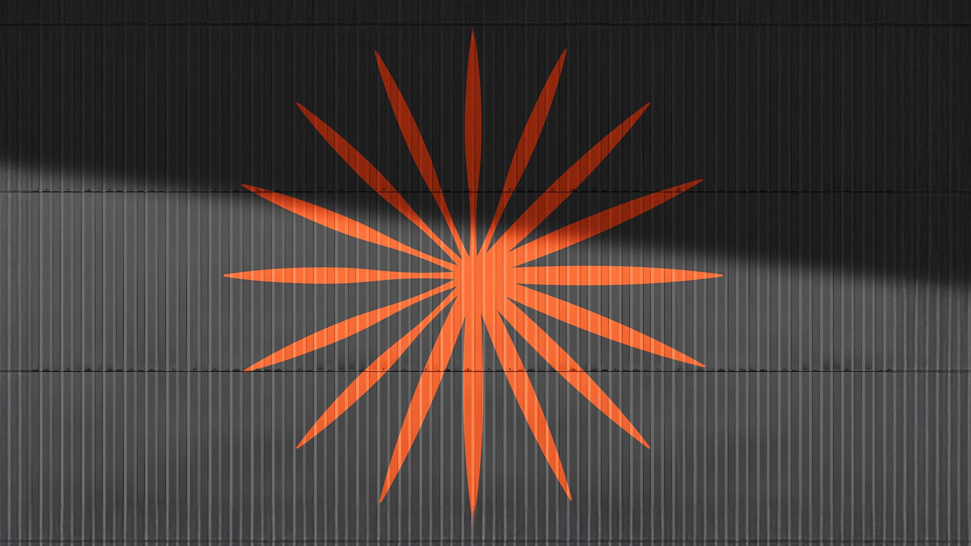 Nexspring Health, Ident