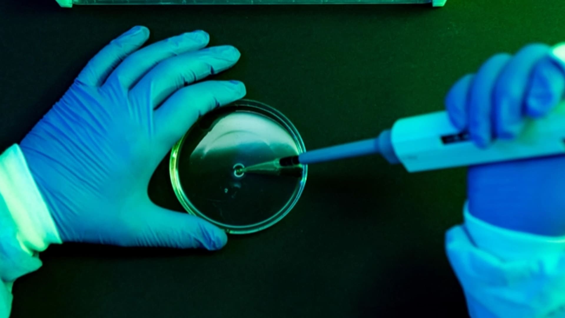 Scientist putting things in petridish