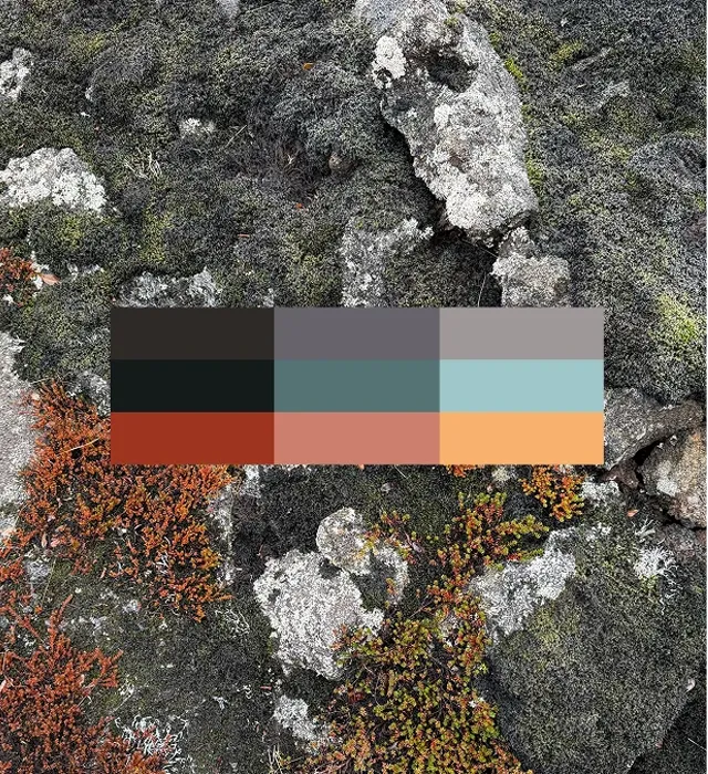 A vertical set of five rectangular color swatches representing the HS Orka brand palette. From top to bottom the colors are bright red, vivid orange-red, warm ochre yellow, cool pale blue, and deep charcoal black. The blocks are arranged against a white background, showing the brand’s bold, energetic, and balanced color system used across HS Orka visual identity materials. (Image from HS Orka brand project on Brandpie.)