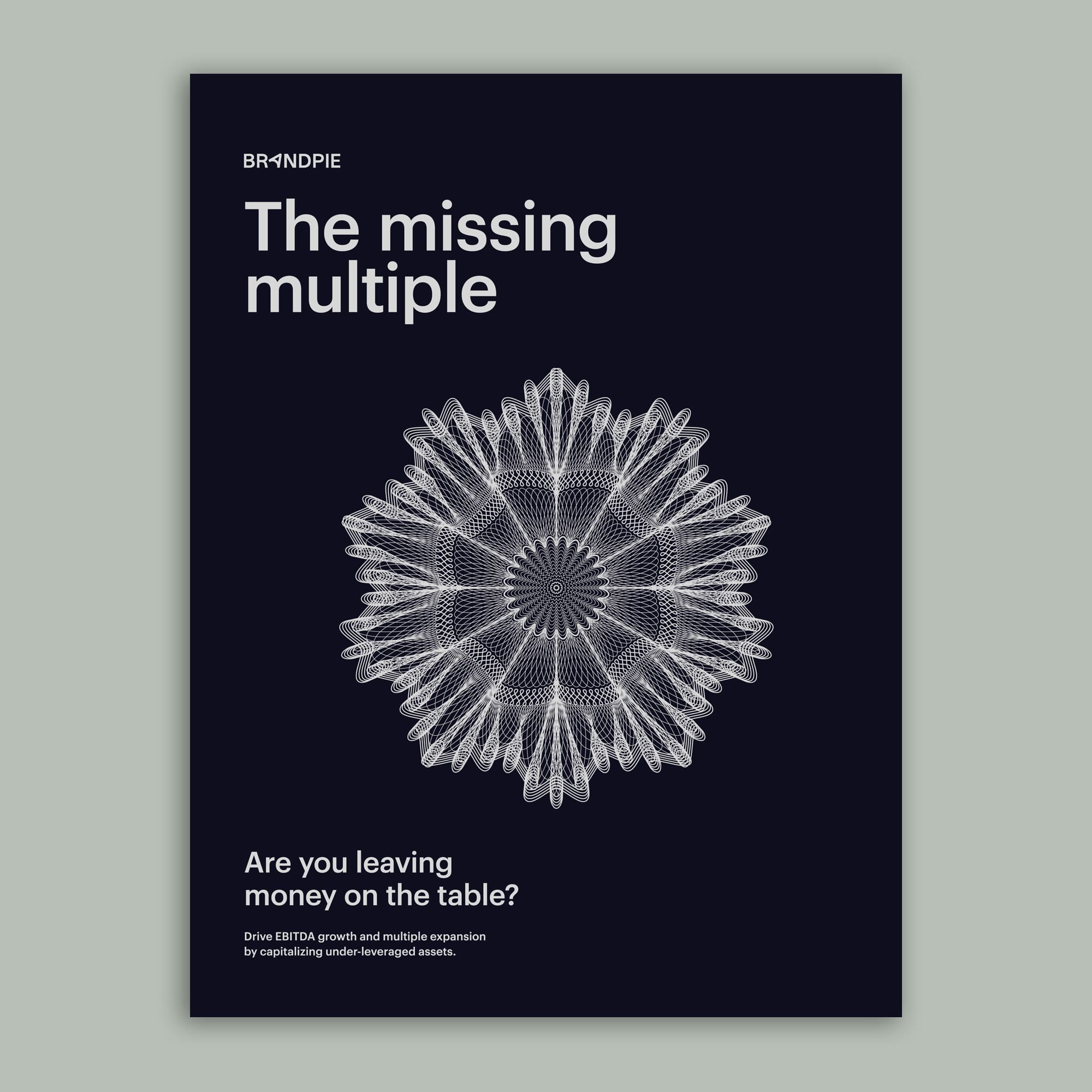 The Missing Multiple PE Report – Brandpie – front cover