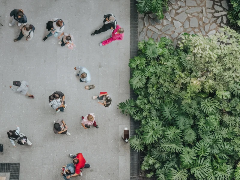 How do you turn AI adoption into business transformation?