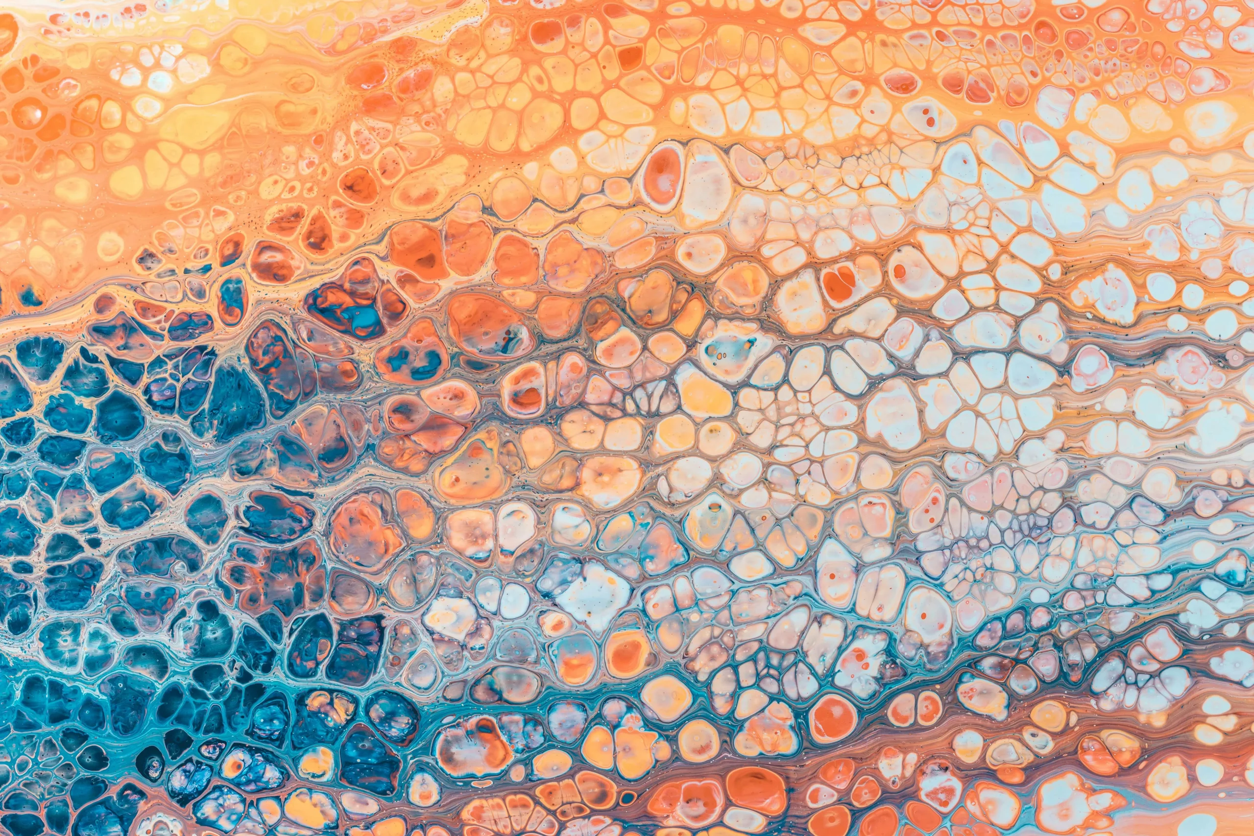 Abstract artwork with interconnected cells in shades of orange, blue and white, creating an organic flowing pattern.