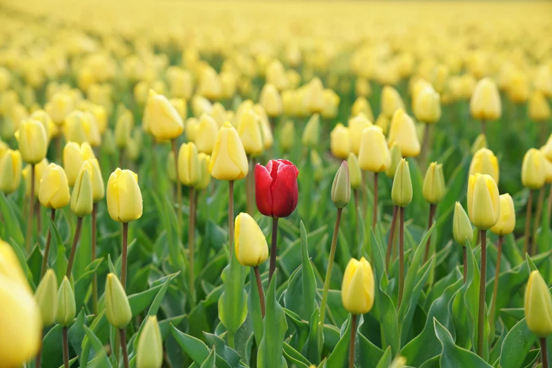 How do you stand out in healthcare when everyone is saying the same thing?