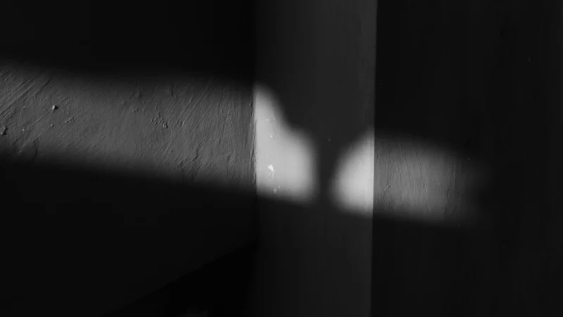 Abstract black-and-white shadows cast across a textured wall, creating geometric blocks of light and dark.